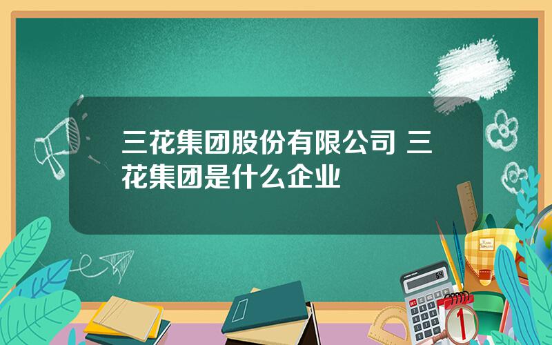 三花集团股份有限公司 三花集团是什么企业